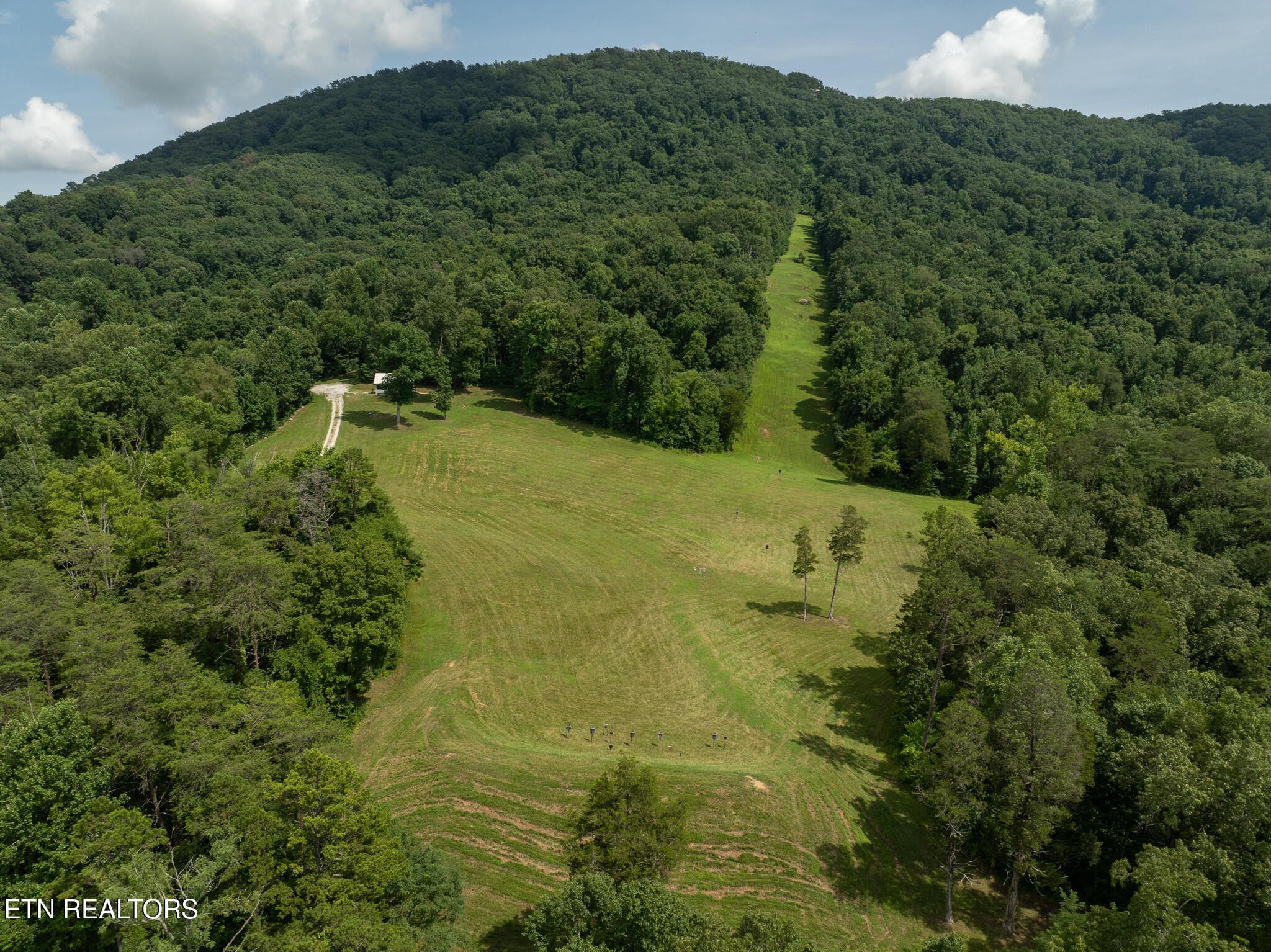 9050 Freeland Road Corryton, TN 37721 - Photo 19 of 34 a view of a forest with a yard