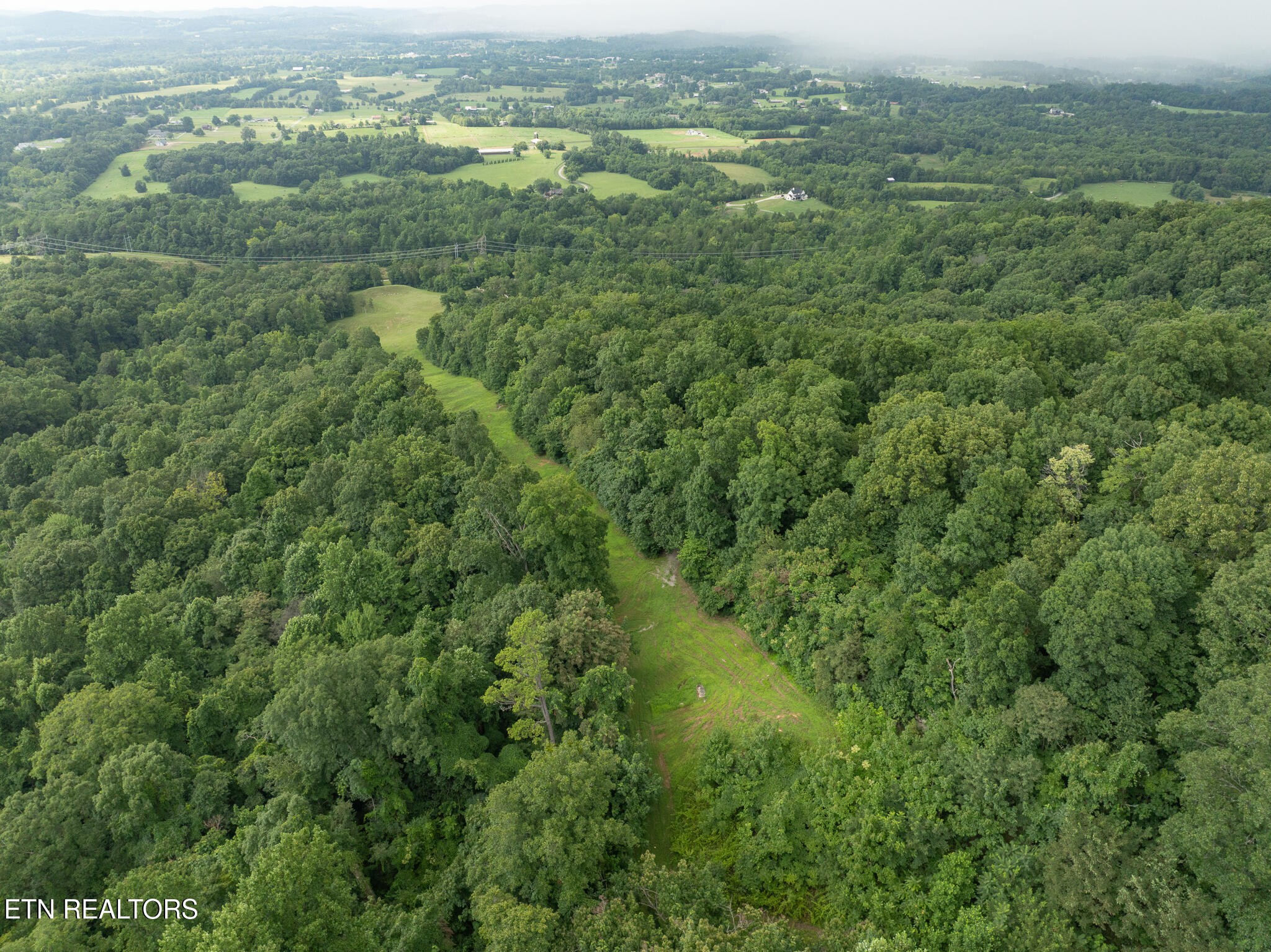 9050 Freeland Road Corryton, TN 37721 - Photo 27 of 34 an aerial view of residential houses with outdoor space and trees