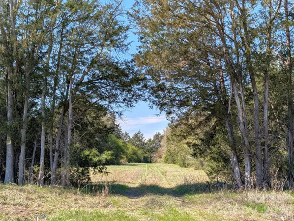 a view of a yard and tree s