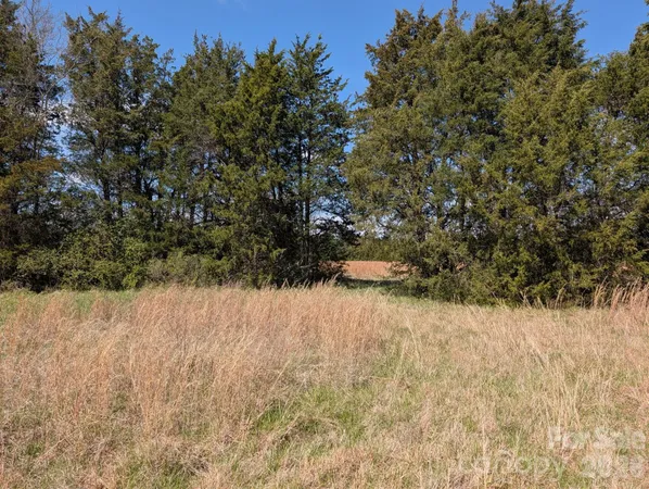 a view of outdoor space and trees
