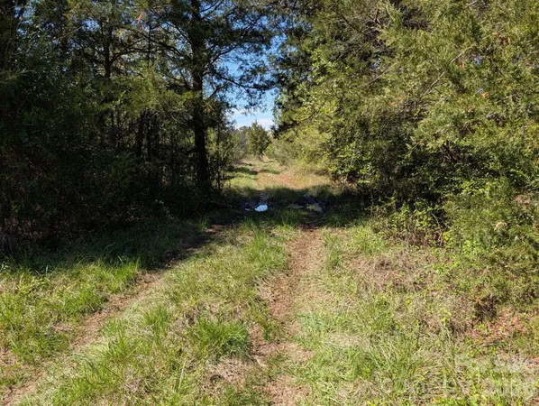 a view of a lake from a yard