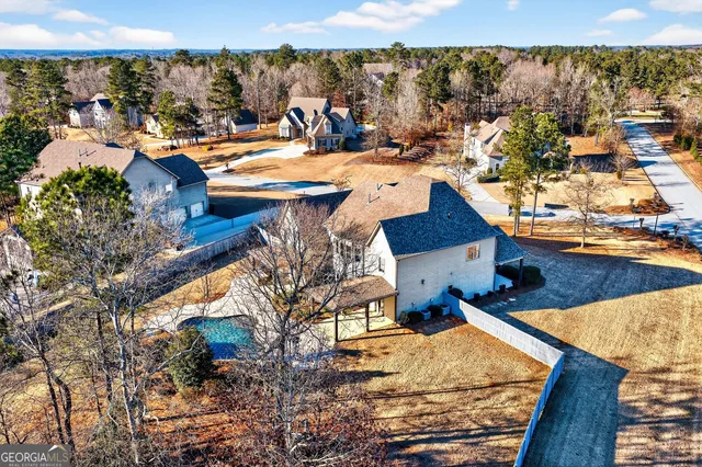 a closeup of a sink and a potted plant on the counter