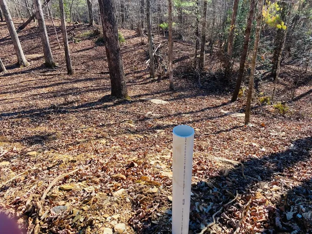 a fire hydrant in the middle of a forest