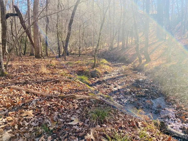 a view of covered with snow