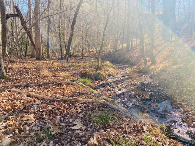 a view of covered with snow