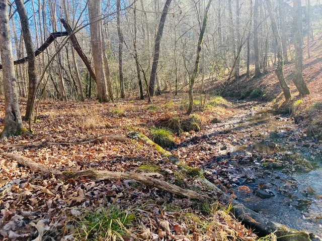 a view of snow on a yard