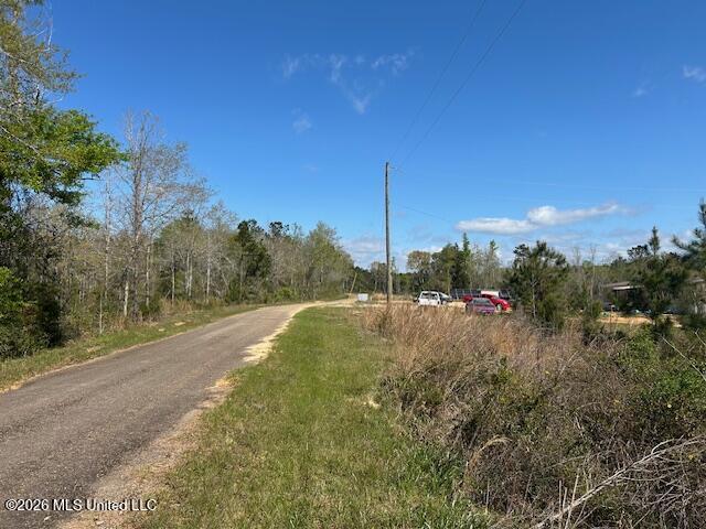 Austin Smith Road Ruth, MS 39662 - Photo 2 of 8 IMG_3590