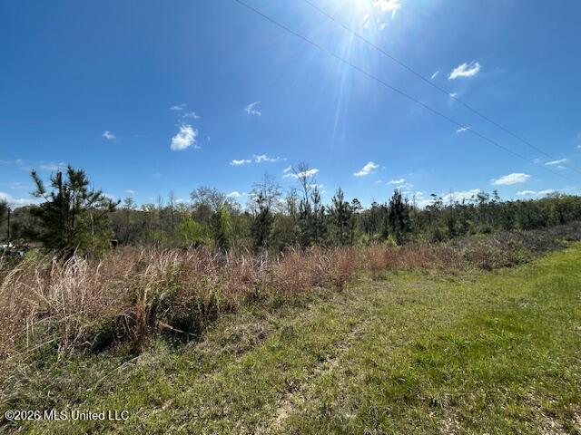 Austin Smith Road Ruth, MS 39662 - Photo 5 of 8 IMG_3594 (1)