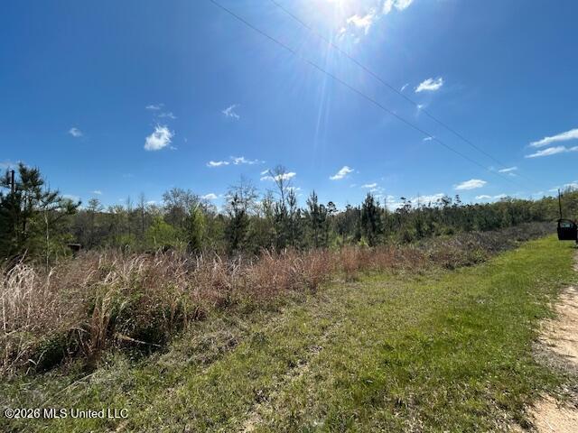 Austin Smith Road Ruth, MS 39662 - Photo 6 of 8 IMG_3595