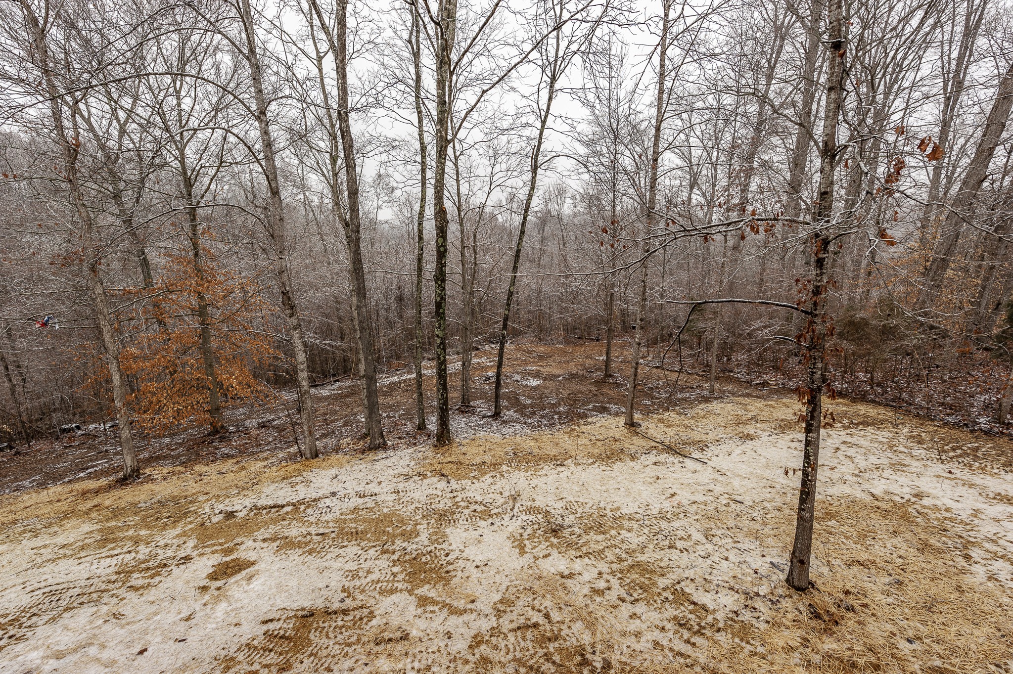2026 Beaver Ridge Road Burns, TN 37029 - Photo 45 of 45 a view of house with trees in the background