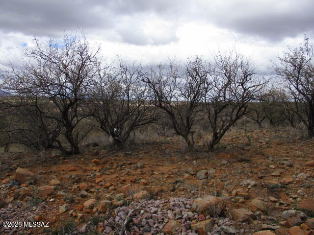 1752 Circulo Badajada, Unit 119 Rio Rico, AZ 85648 - Photo 2 of 6 IMG_7299