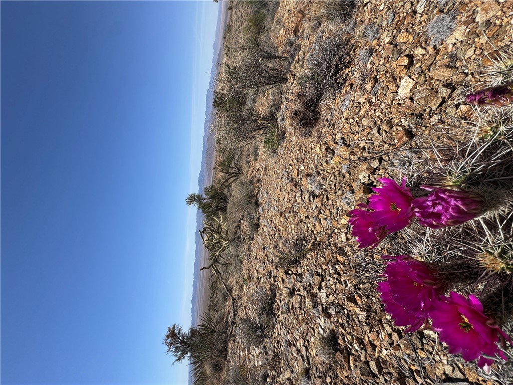 0 North Cresant Spring Road Kingman, AZ 86411 - Photo 2 of 18 Other