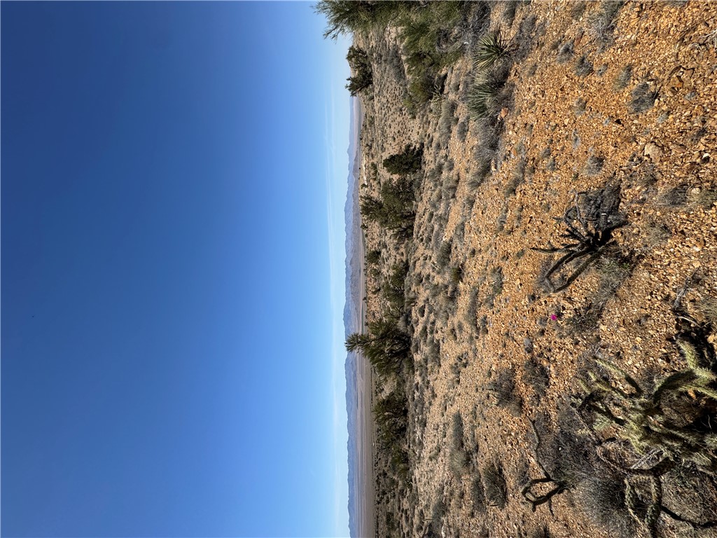0 North Cresant Spring Road Kingman, AZ 86411 - Photo 10 of 18 Other