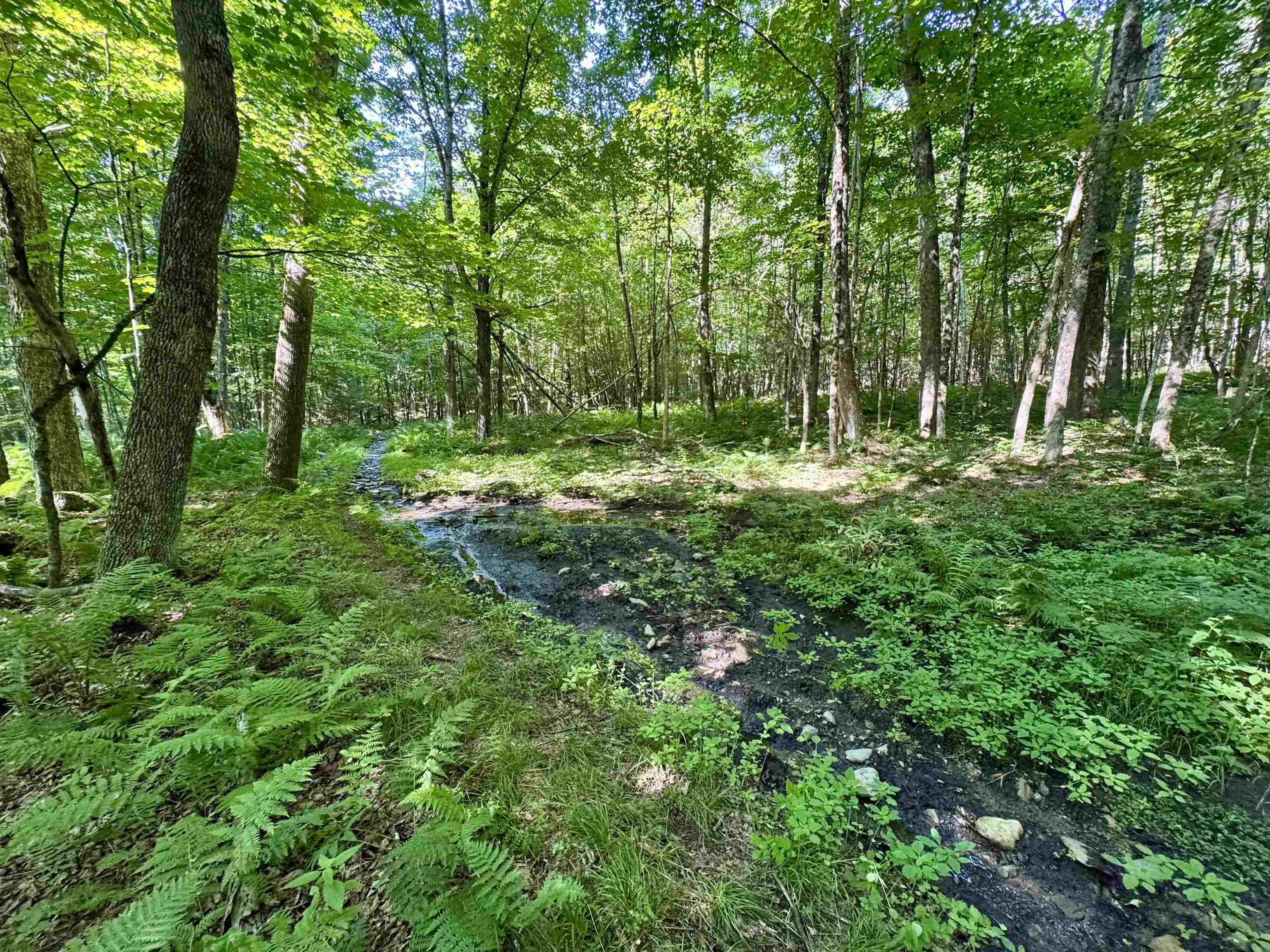 0 Mountain Road Bath, NH 03740 - Photo 1 of 10