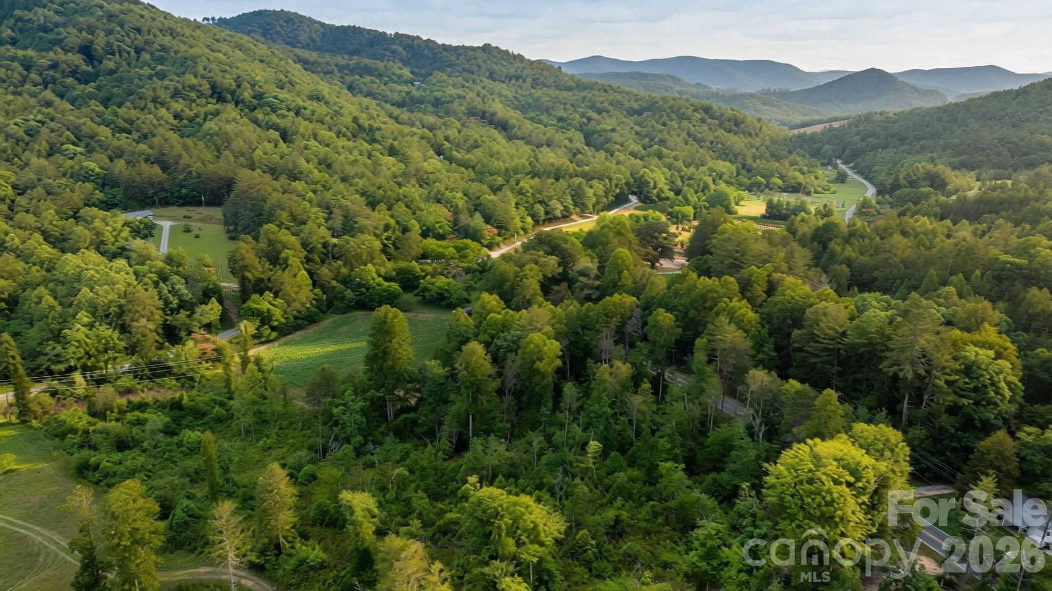 2970 Zacks Fork Road Lenoir, NC 28645 - Photo 5 of 10