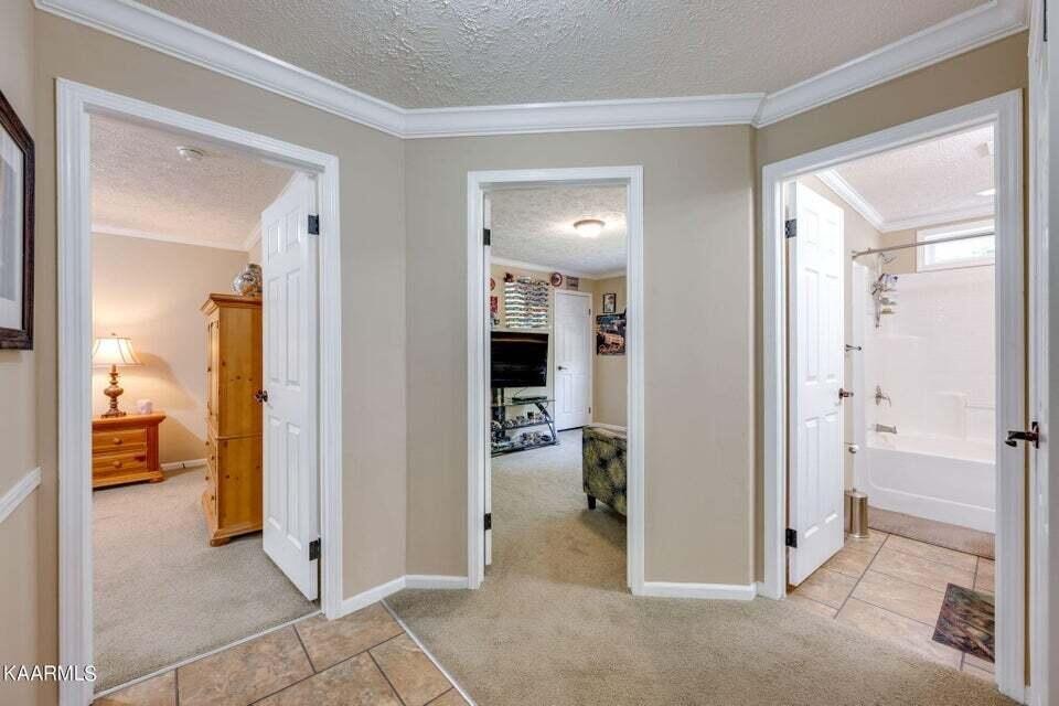 86 Chestnut Ridge Road Spring City, TN 37381 - Photo 27 of 59 Gallery Image 27