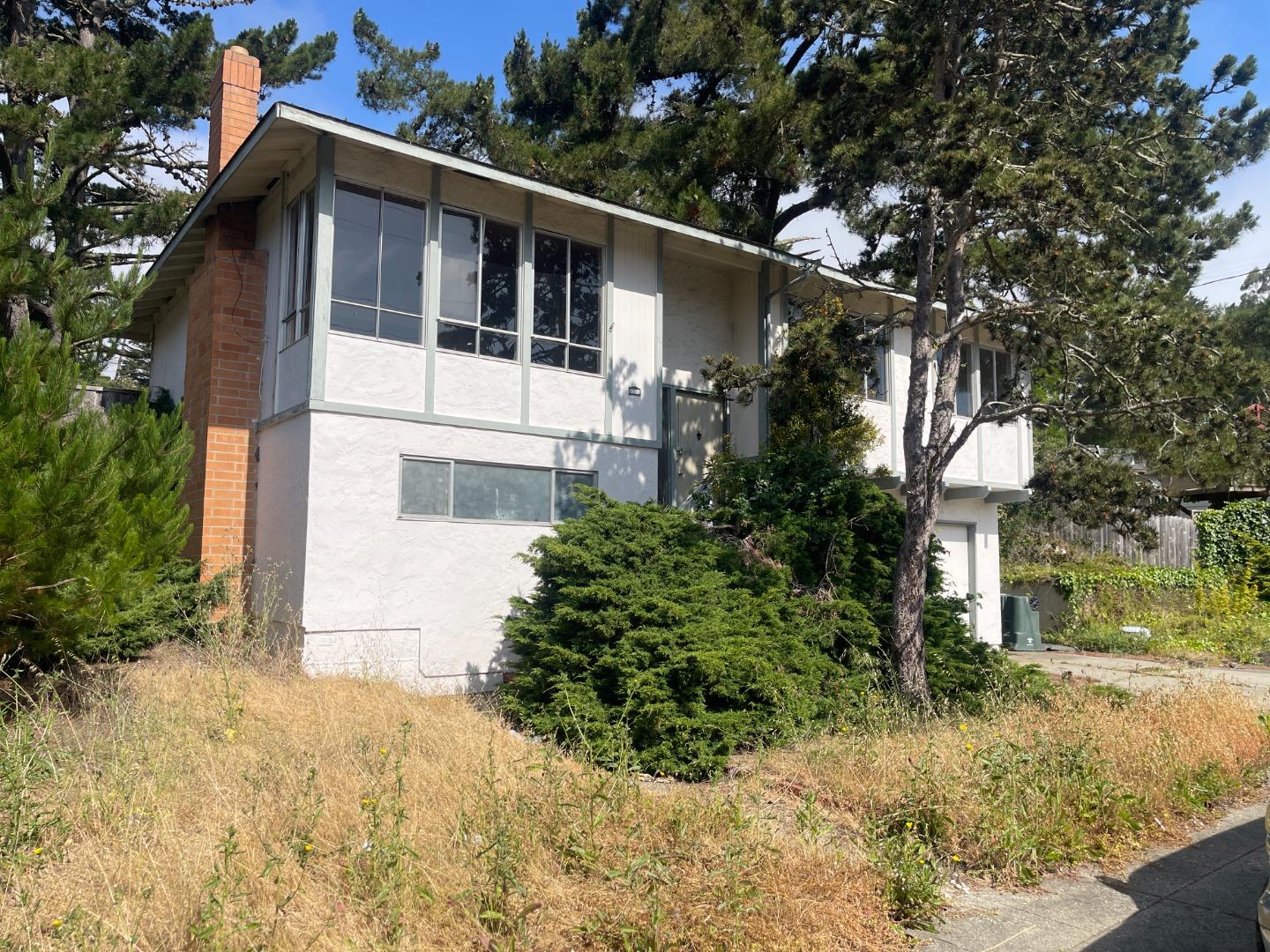 a white house that has a tree in front of it