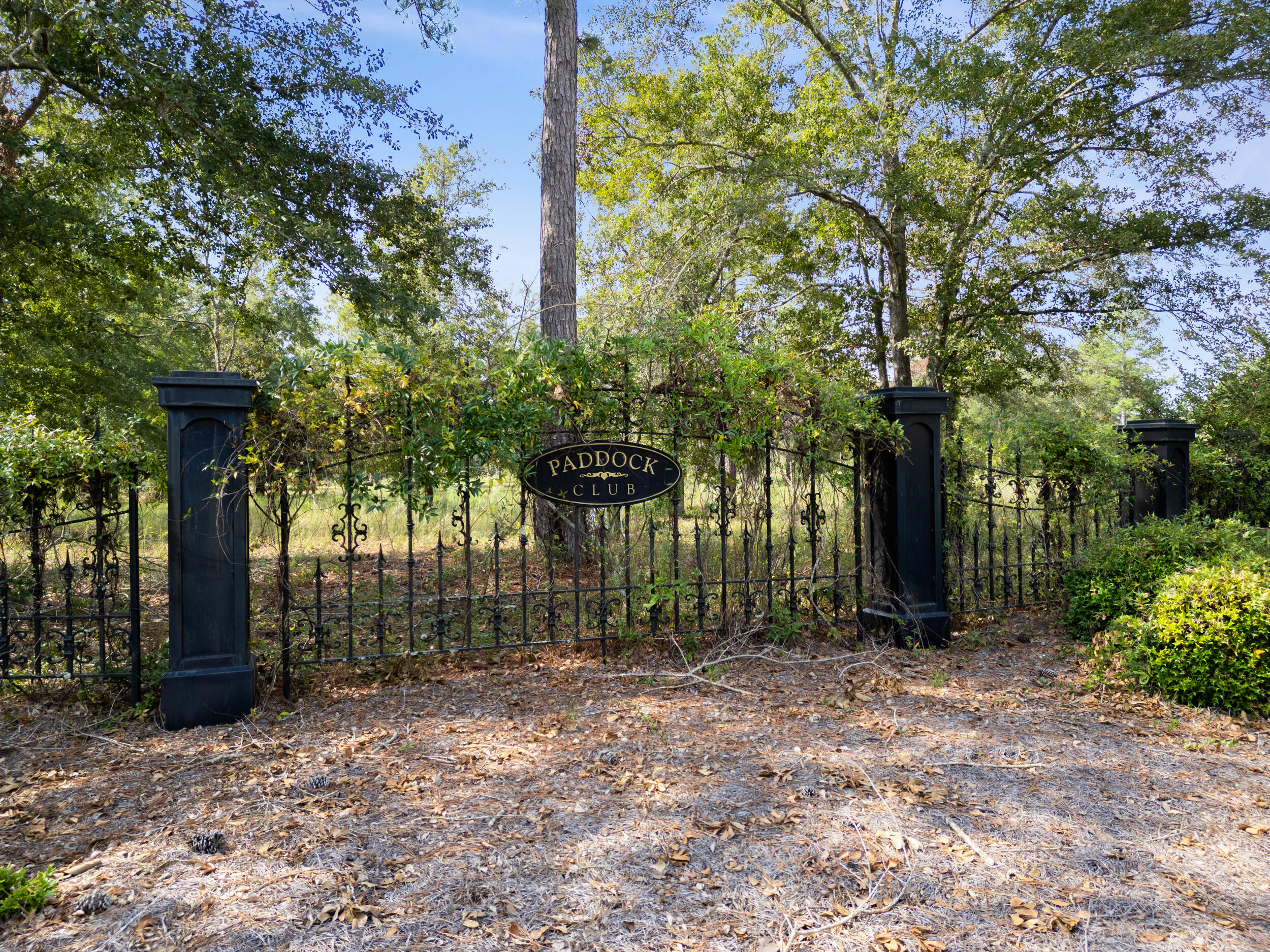 Lot 7 Paddock Clb Parkway Aiken, SC 29803 - Photo 2 of 11