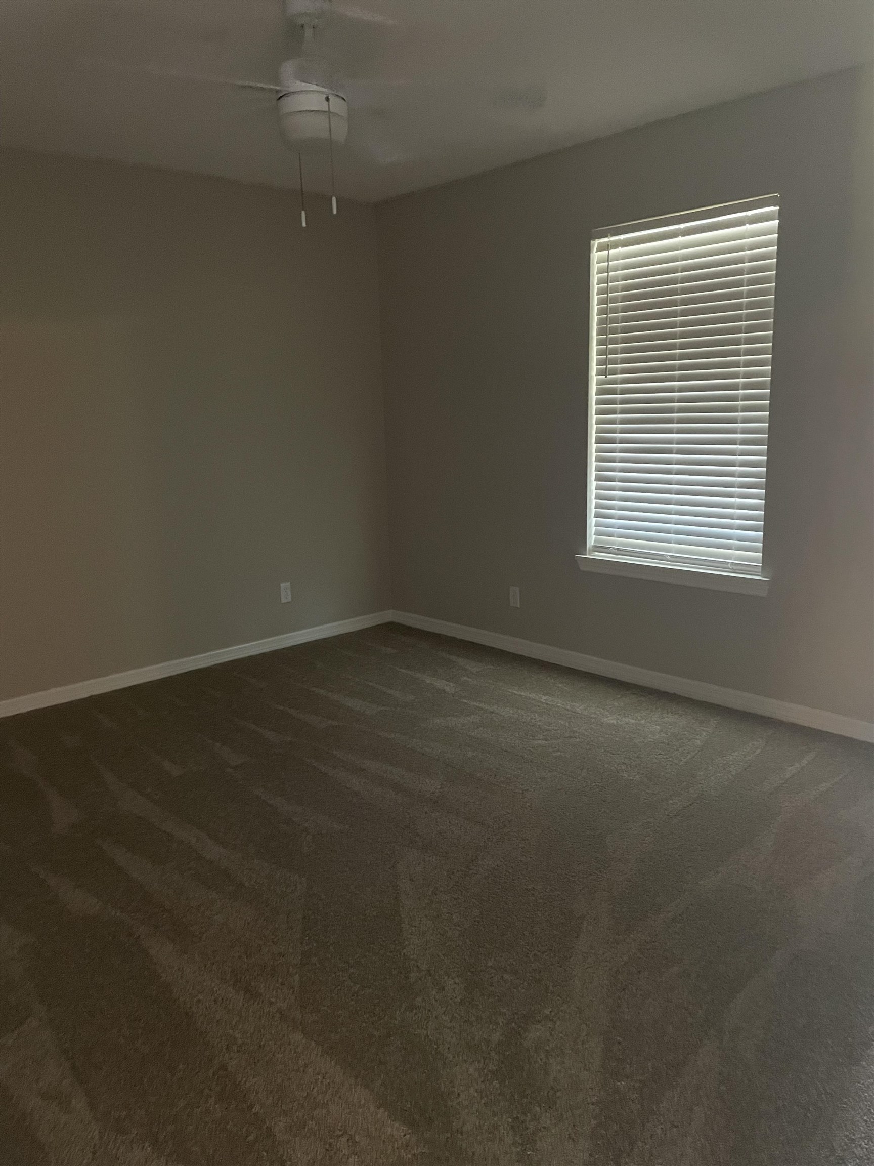 113 Dory Road St. Augustine, FL 32086 - Photo 6 of 6