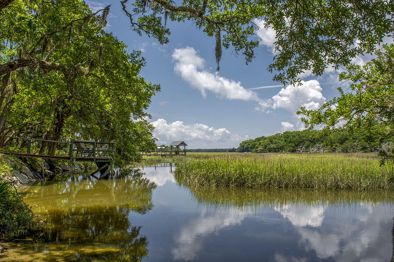 8370 Chisolm Plantation Road Edisto Island, SC 29438 - Photo 2 of 23 _DSC5505