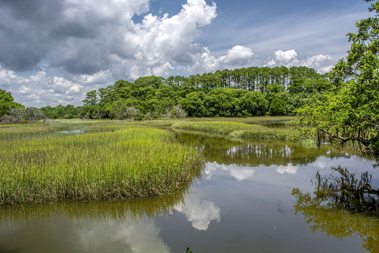 8370 Chisolm Plantation Road Edisto Island, SC 29438 - Photo 12 of 23 _DSC5487