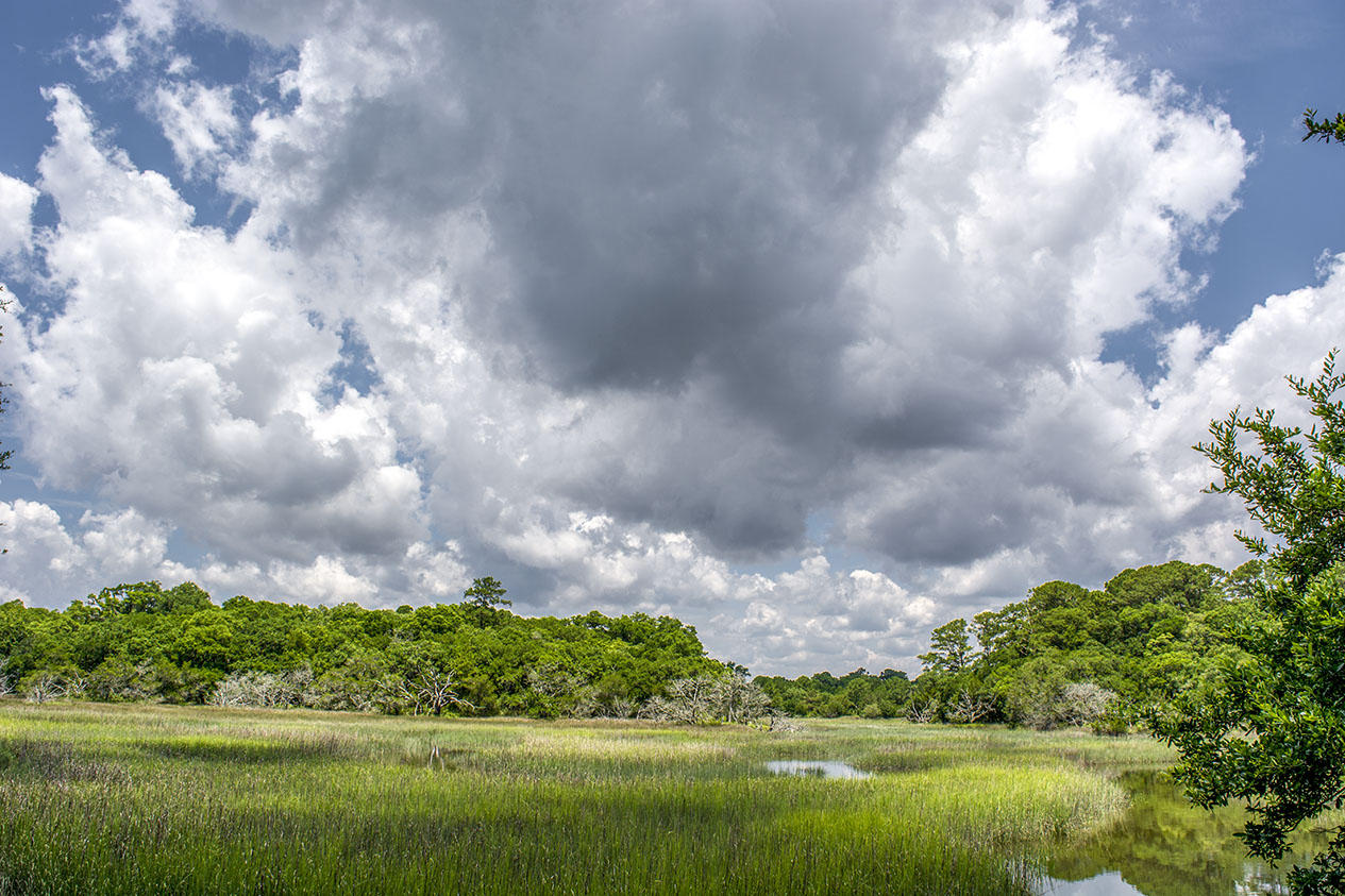 8370 Chisolm Plantation Road Edisto Island, SC 29438 - Photo 20 of 23 _DSC5494