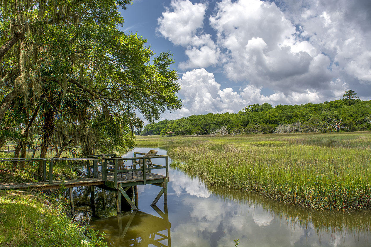 8370 Chisolm Plantation Road Edisto Island, SC 29438 - Photo 21 of 23 _DSC5500