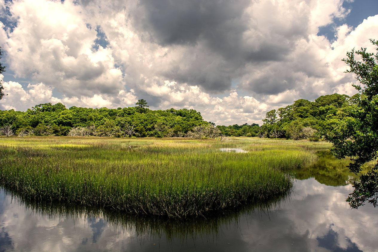 8370 Chisolm Plantation Road Edisto Island, SC 29438 - Photo 6 of 23 _DSC5493
