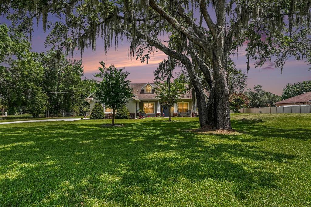 6913 Colley Road Odessa, FL 33556 - Photo 6 of 46