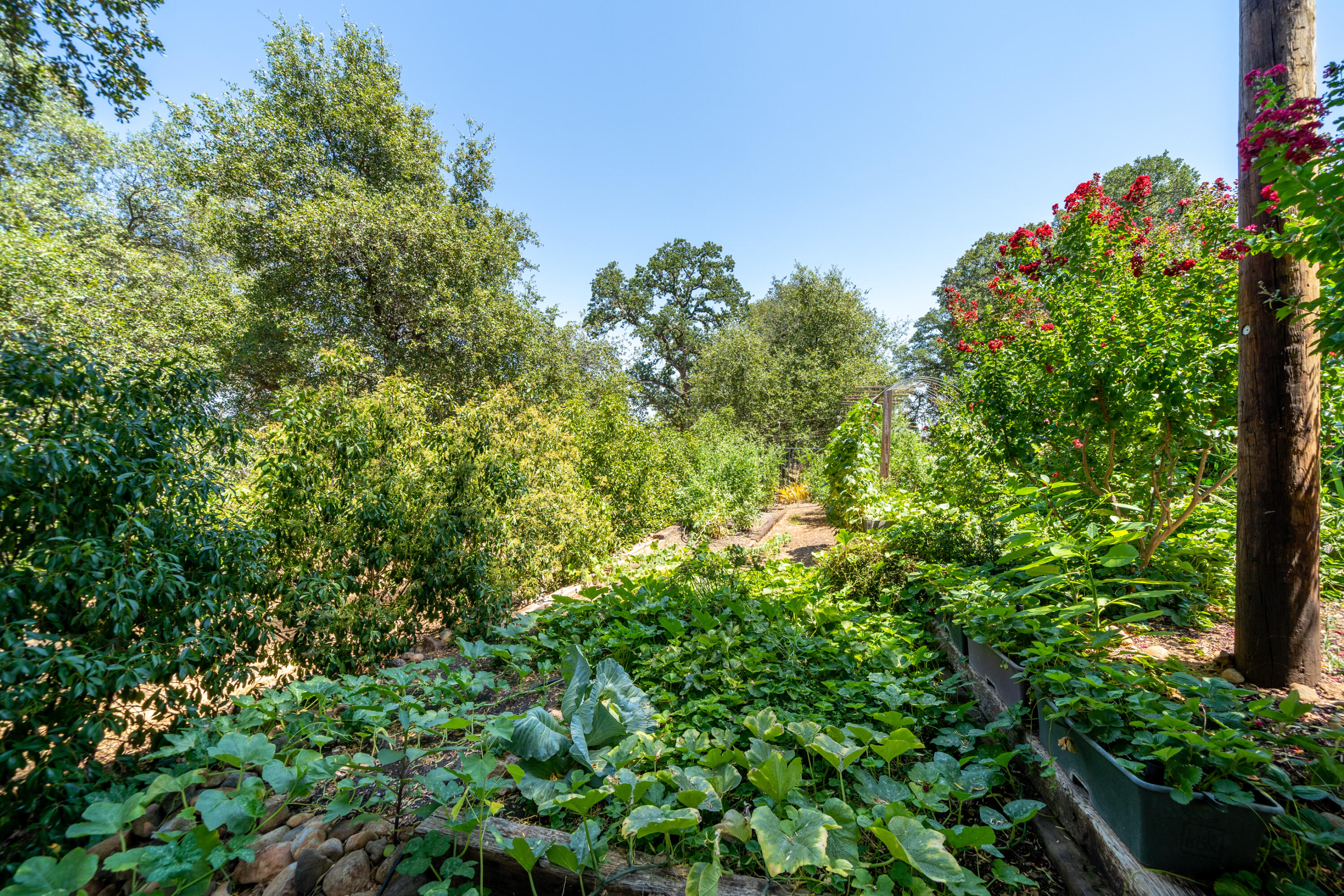 8513 Silver Bridge Road Palo Cedro, CA 96073 - Photo 54 of 92 Exterior-85