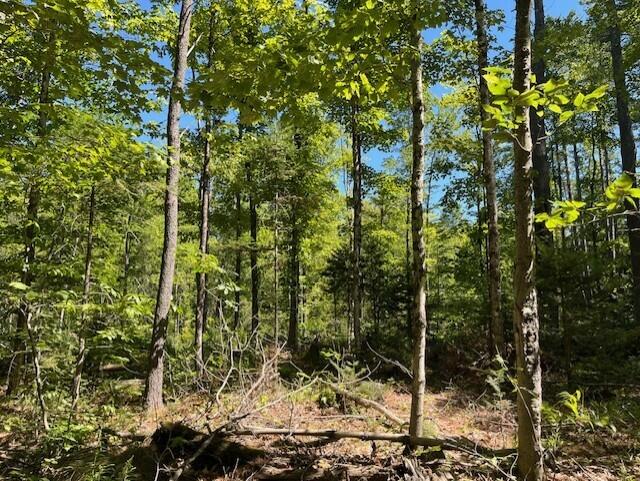 Lot 045 Sawyer Notch Road Andover, ME 04216 - Photo 3 of 36 Andover 3
