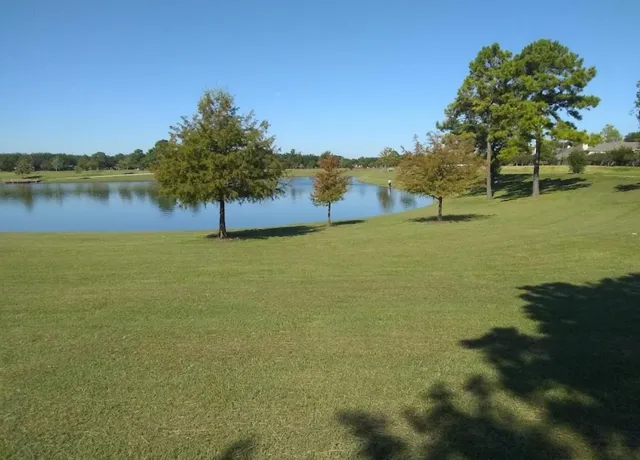 a view of an ocean from a yard