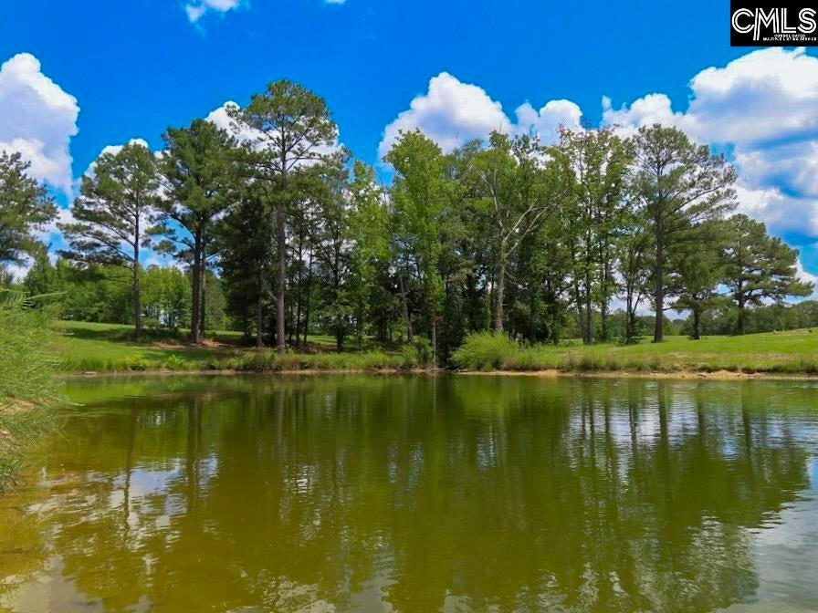 529 Martin Road Winnsboro, SC 29180 - Photo 67 of 83 Gallery Image 67