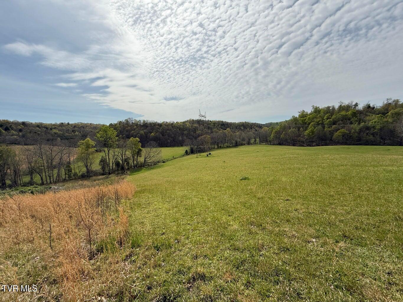 0 Longtown Road Bulls Gap, TN 37711 - Photo 24 of 34 20250417183941616580000000-o