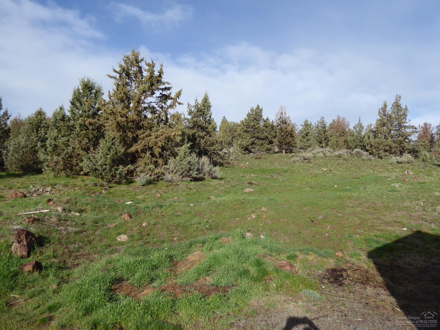 0 Southwest Elk Ridge Court Madras, OR 97741 - Photo 1 of 4 Primary Photo