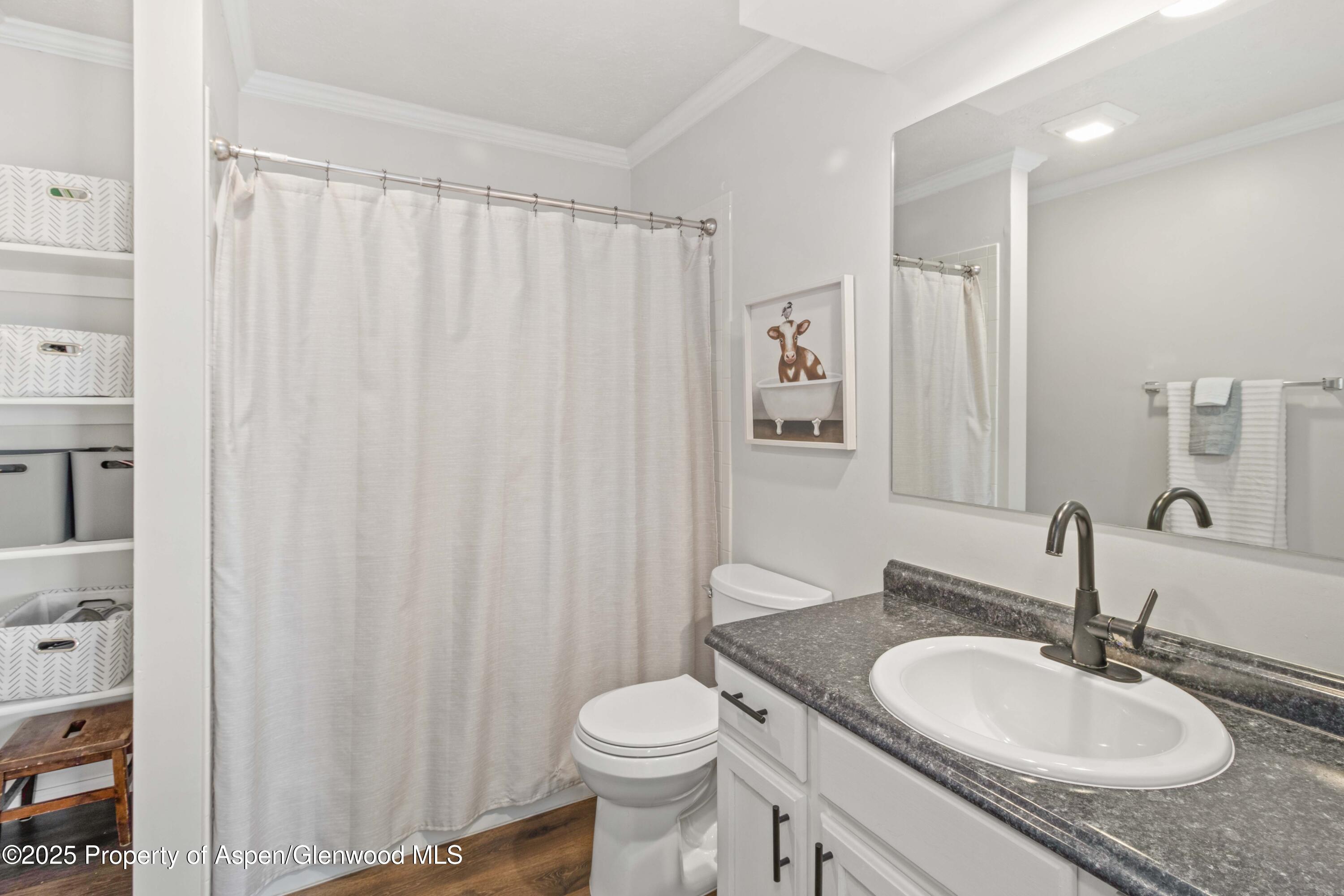 403 Fox Run Road Rifle, CO 81650 - Photo 34 of 42 Bathroom
