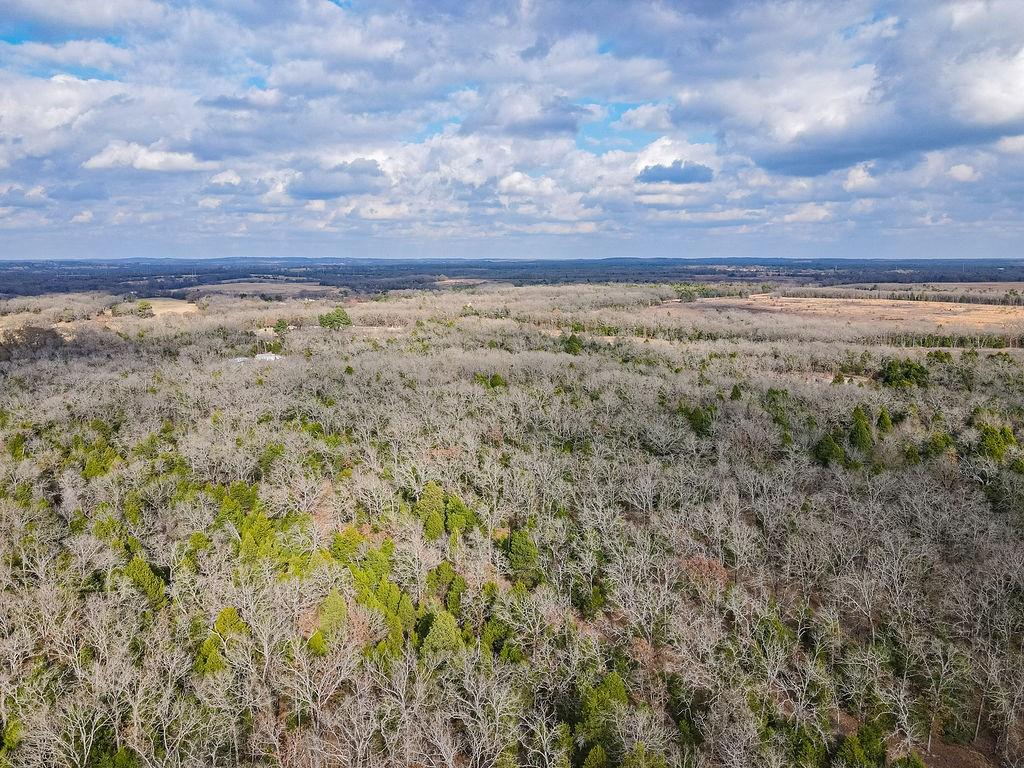 12802 Hidden Acres Road Eustace, TX 75124 - Photo 11 of 12