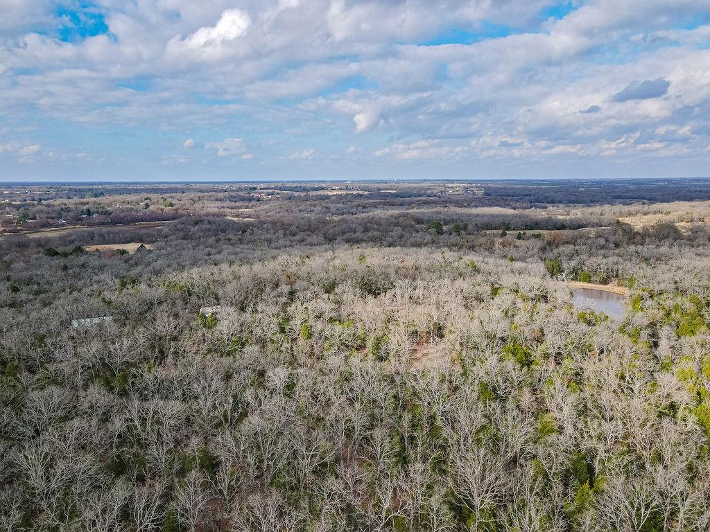 12802 Hidden Acres Road Eustace, TX 75124 - Photo 12 of 12
