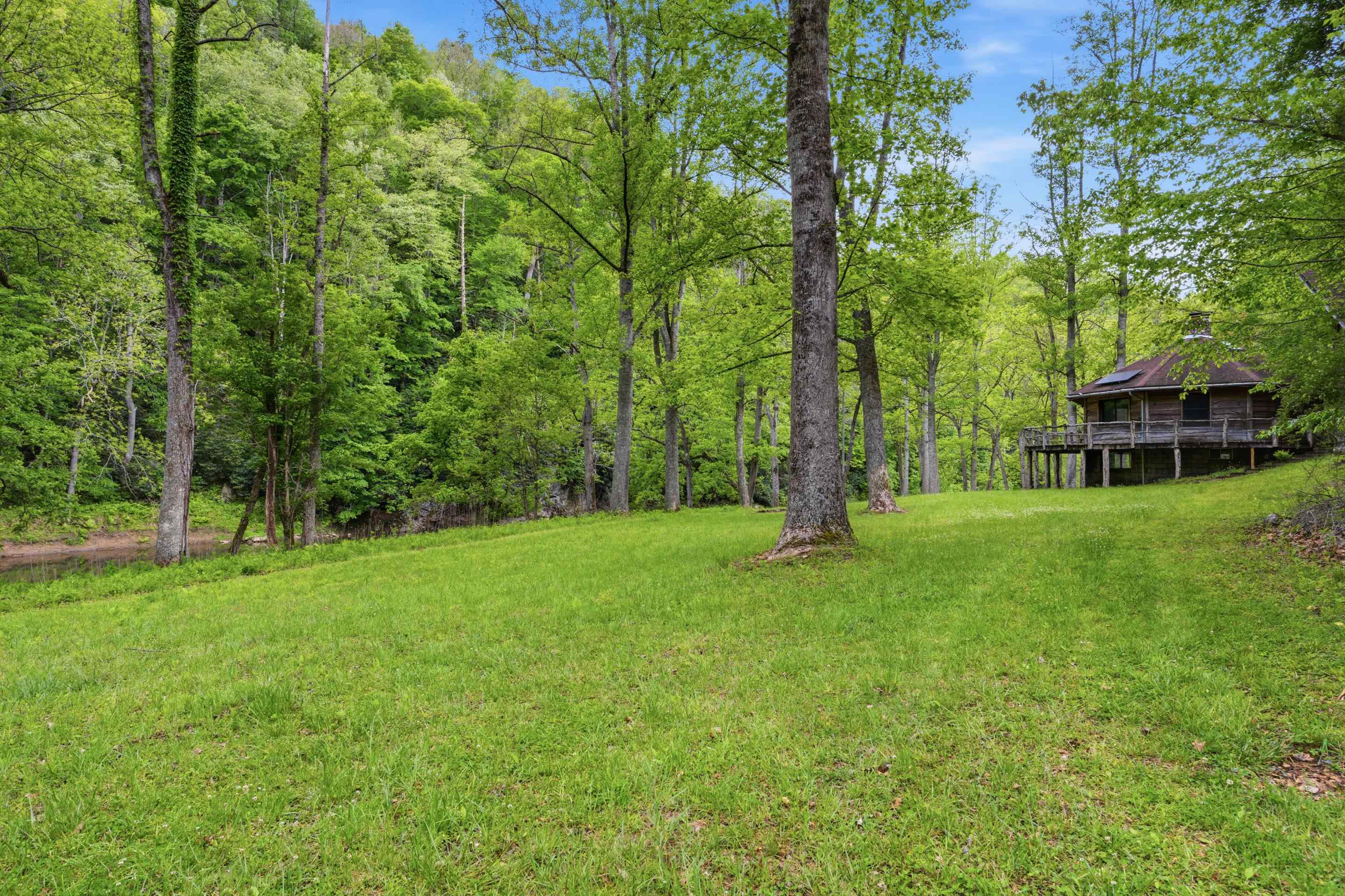 Tbd Chestnut Ridge Road Riner, VA 24149 - Photo 55 of 58 Gallery Image 55