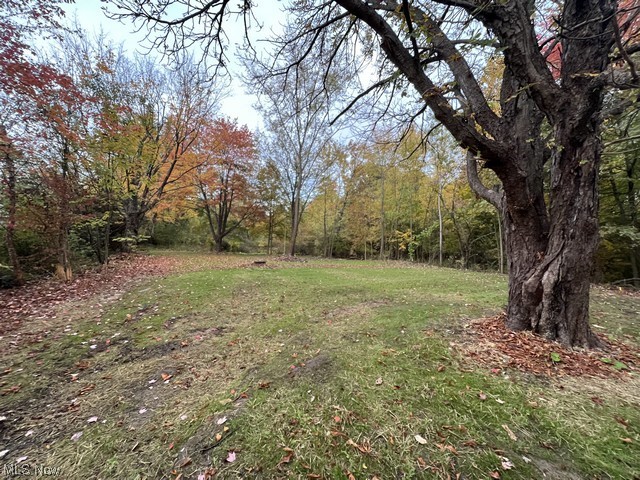 6742 Warren - Sharon Road Brookfield, OH 44403 - Photo 12 of 16 View of yard