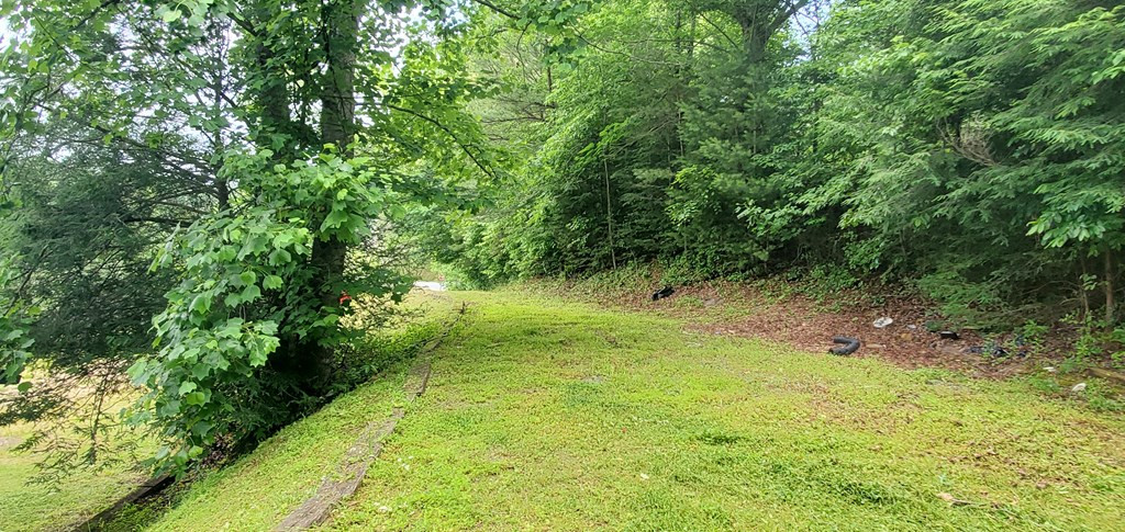 3542 Caney Creek Road Murphy, NC 28906 - Photo 17 of 46 Gallery Image 17