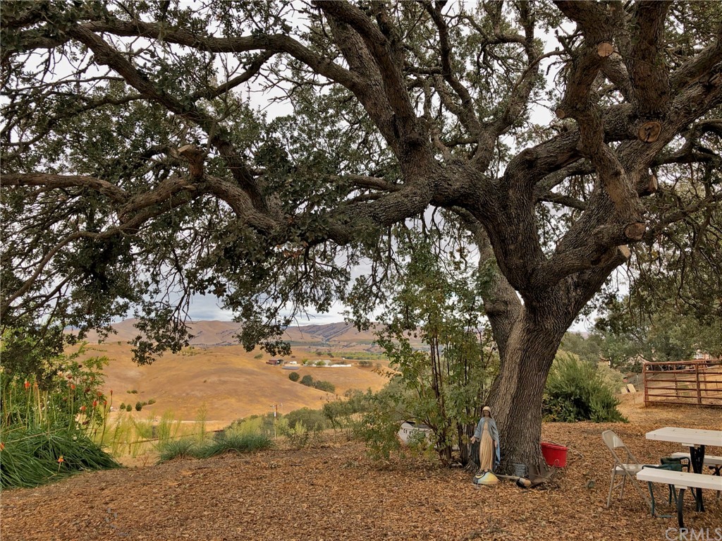 8700 Bee Tree Road Paso Robles, CA 93446 - Photo 16 of 74