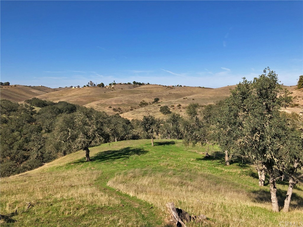 8700 Bee Tree Road Paso Robles, CA 93446 - Photo 54 of 74 a view of a field with mountains in the background