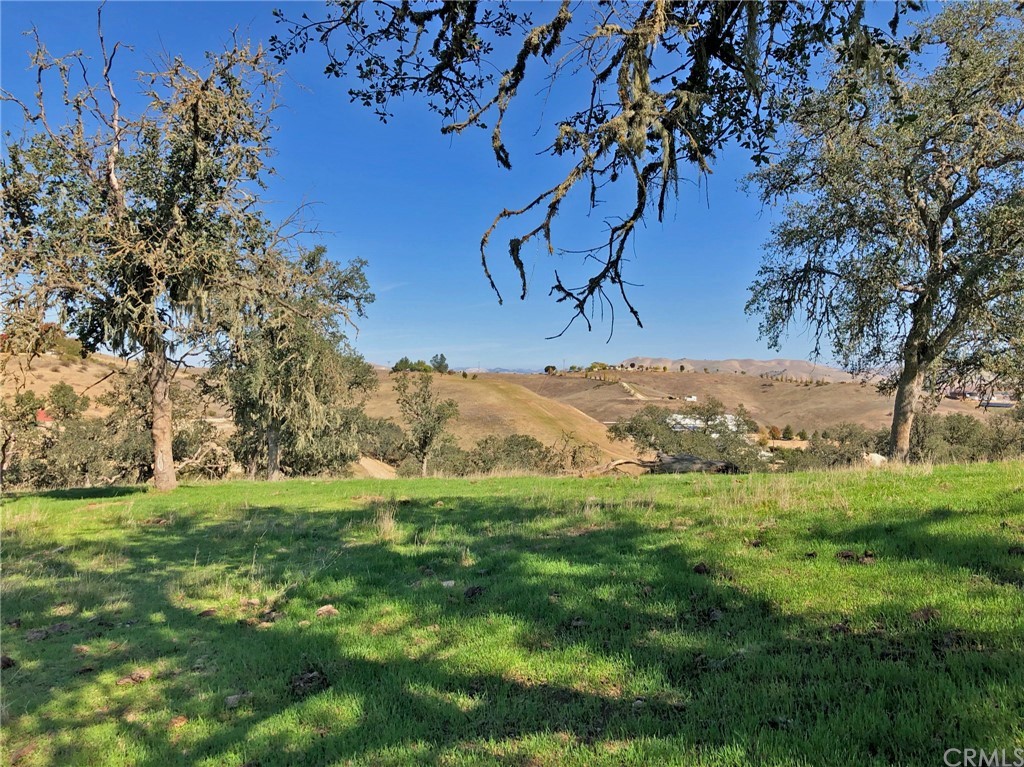8700 Bee Tree Road Paso Robles, CA 93446 - Photo 55 of 74 a view of a field with an trees