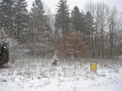 Three Rivers Mi 49036 Road Three Rivers, MI 49093 - Photo 2 of 2 Additional Photo