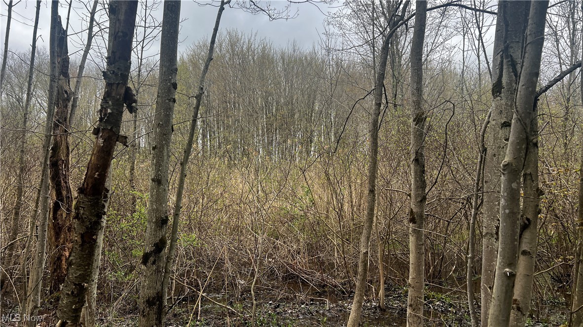 Netcher Road Jefferson, OH 44047 - Photo 12 of 15 Gallery Image 12