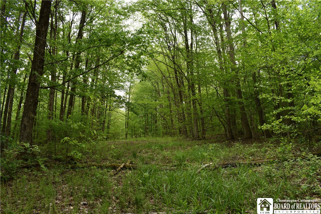 0 Harris Hollow Road Gerry, NY 14740 - Photo 10 of 23