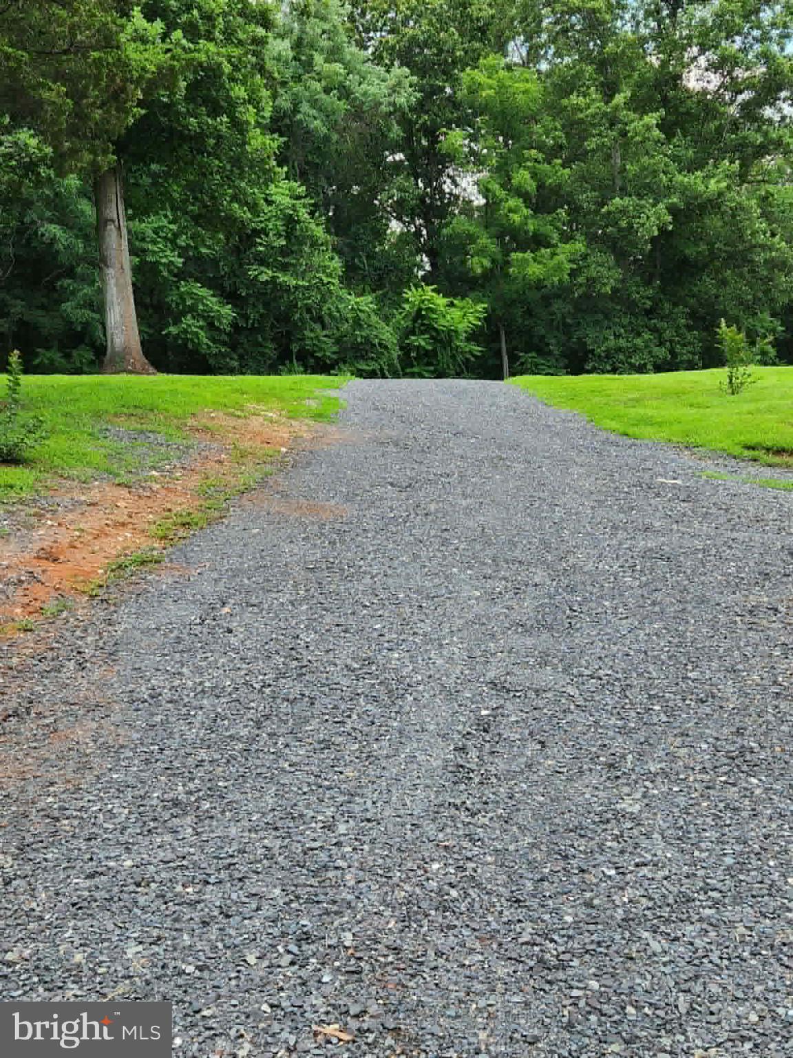 11501 Homeland Road Rixeyville, VA 22737 - Photo 7 of 53