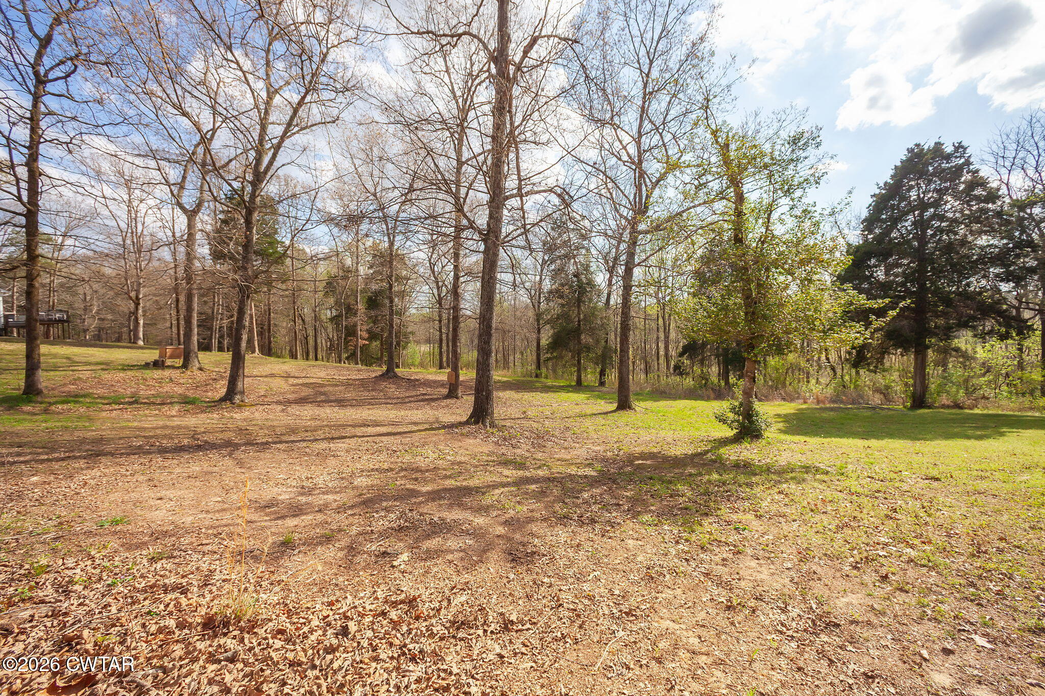 2100 Collins Road Medon, TN 38356 - Photo 23 of 28 Land