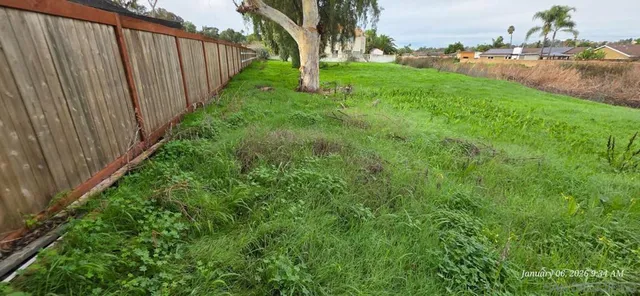 a view of backyard with green space